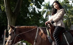 第四色官方网站